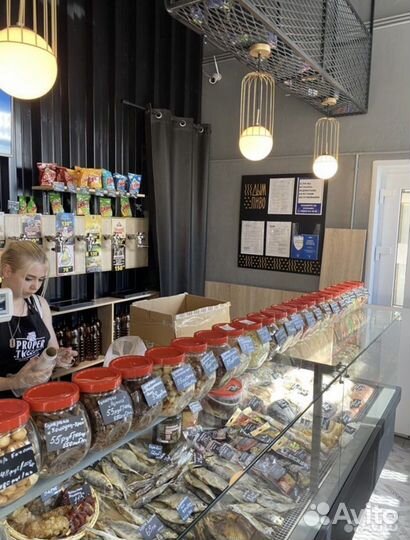 Магазин разливного пива под ключ