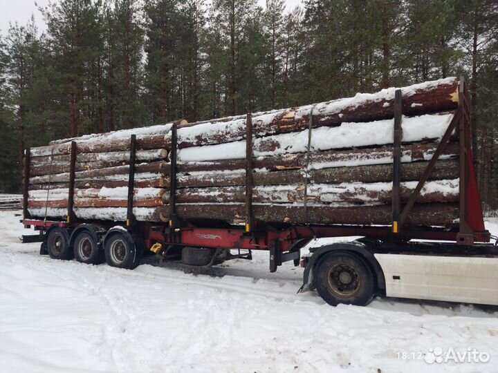 Пиловочник Круглый лес