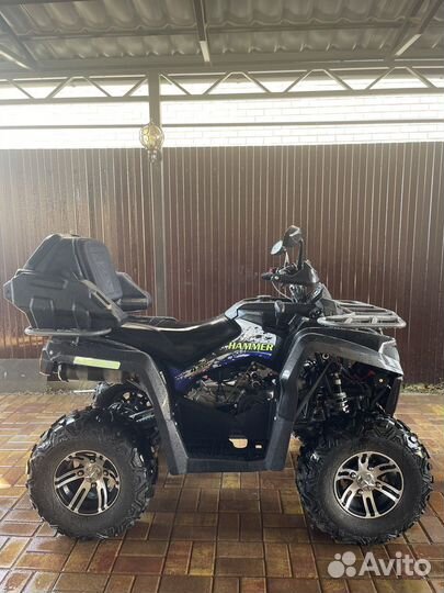 Hammer sharmax 300 LUX