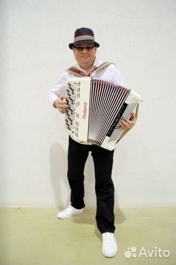 Аккордеонист Баянист Человек-Оркестр