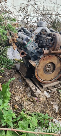 Двигатель 236 турбо evro 2