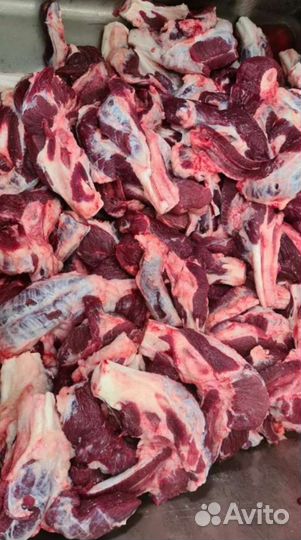 Мясо для собак в Твери