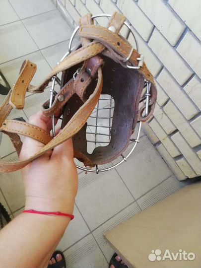 Намордник для большой собаки