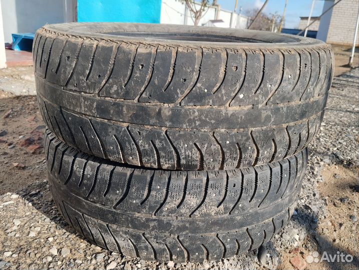 Bridgestone Coach AP1 195/65 R15