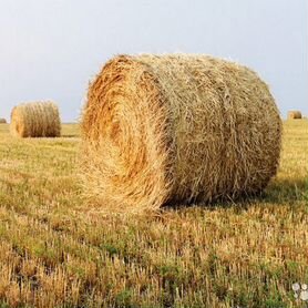 Солома в рулонах