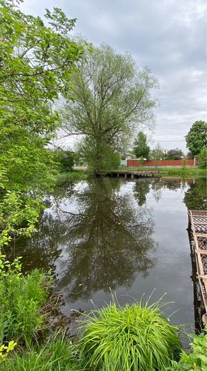 Дом 500 м² на участке 11 сот.