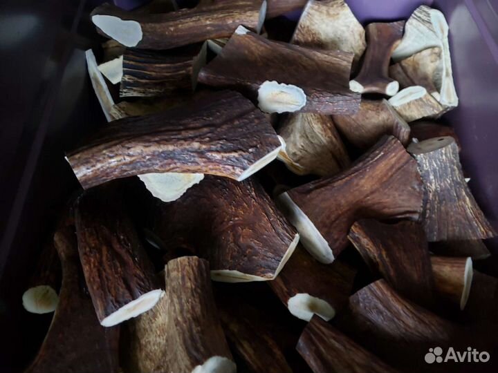 Рога для собак