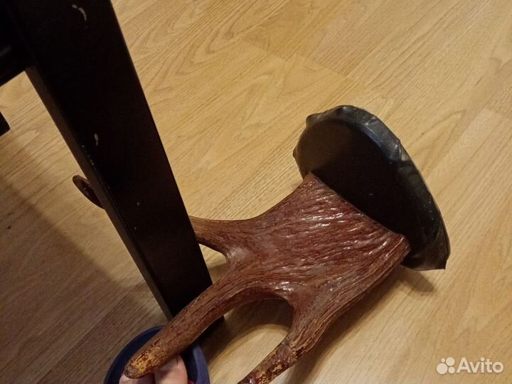 Рога лося