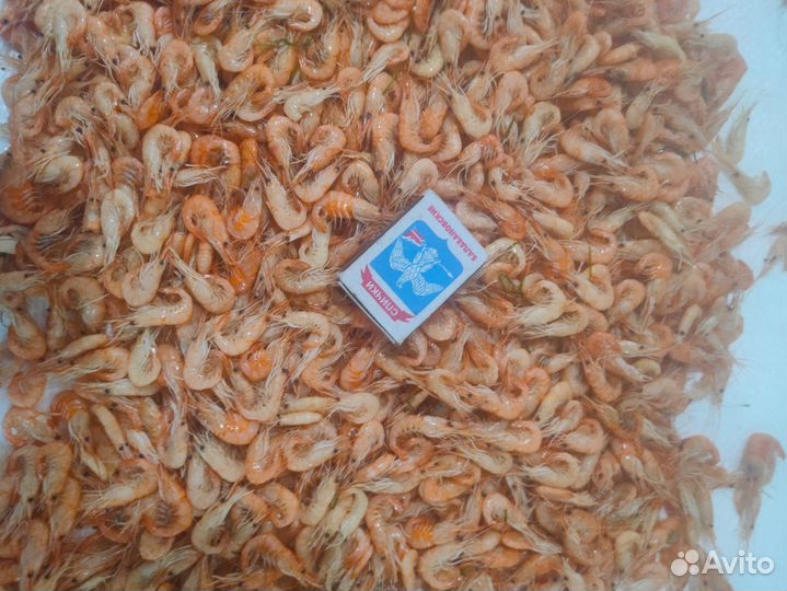 Креветка вареная сухой заморозки