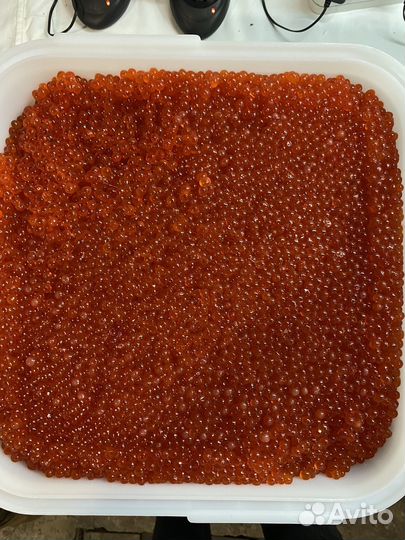 Красная икра оптом