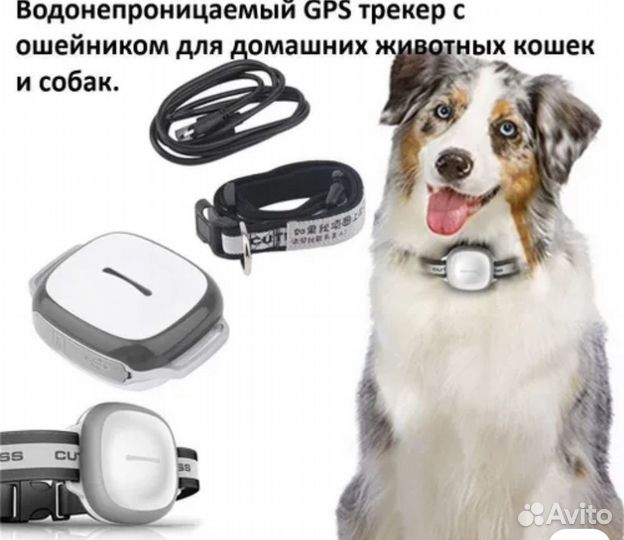 Gps трекер для собак ошейник