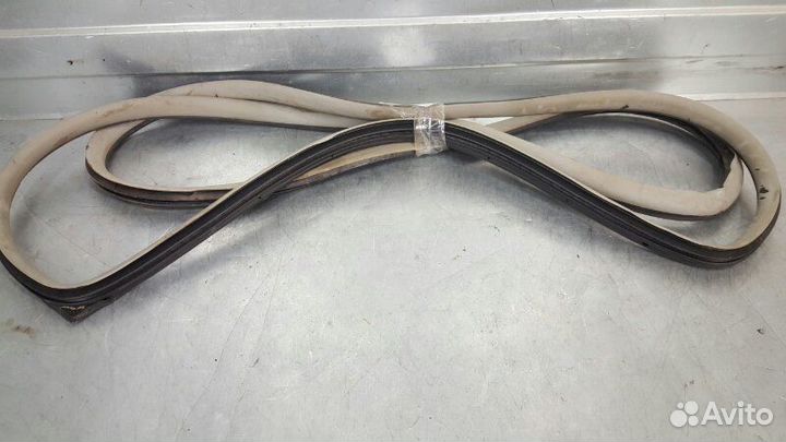 Уплотнитель двери задний левый Hyundai Trajet FO