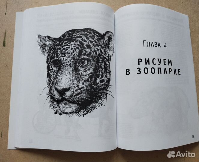 Рисуем животных книга