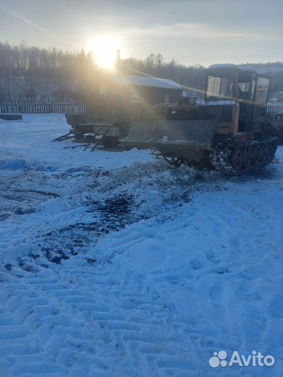 Услуги по лесозаготовке