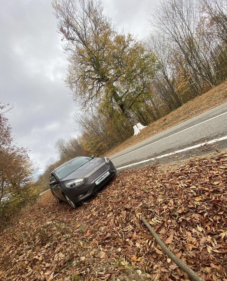 Ford Focus: фото владельца