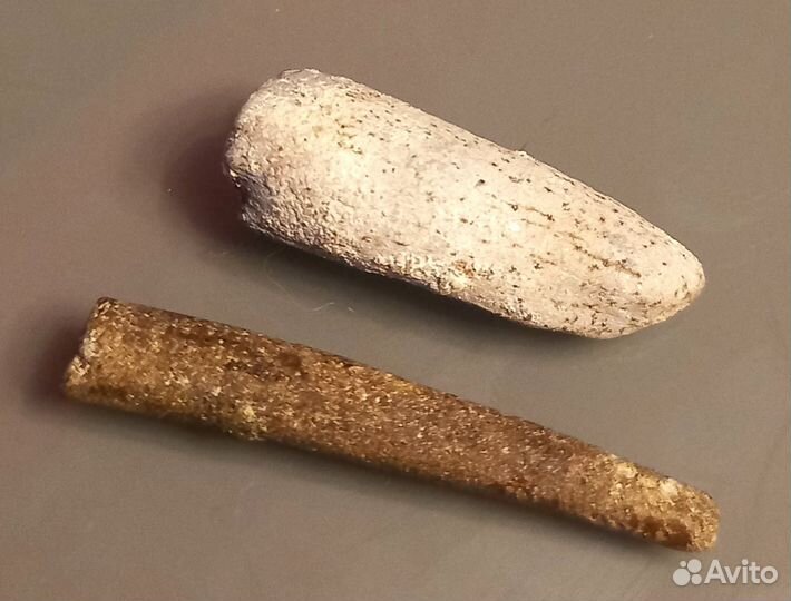 Зубы костных рыб