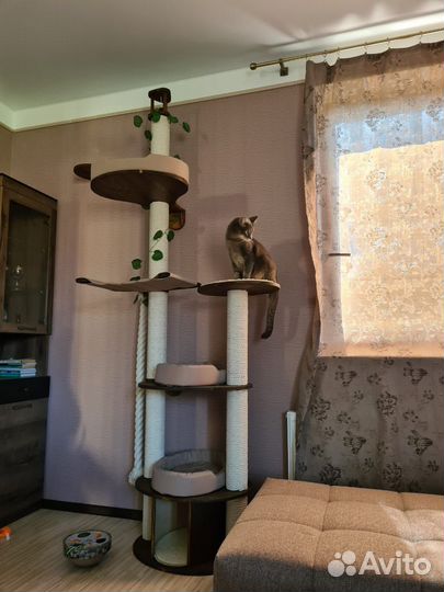 Когтеточка домик для кошки