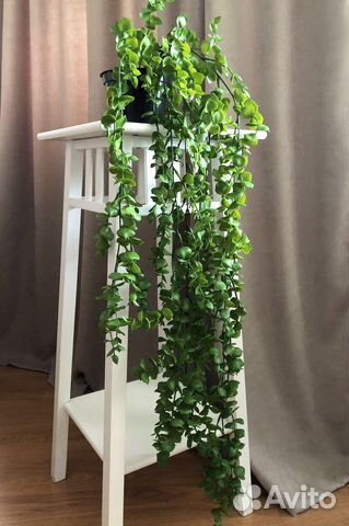 Искусственная зелень, эвкалипт «Лето»