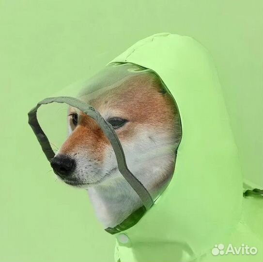 Дождевик для собак мелких и средних пород