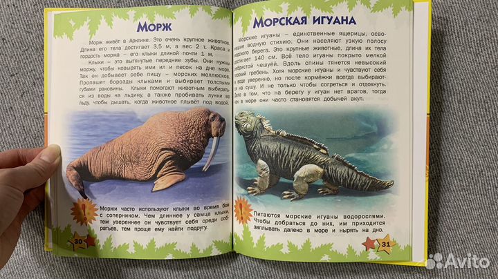 Атлас животных для малышей