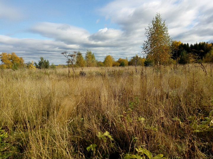 Участок 10 сот. (ИЖС)