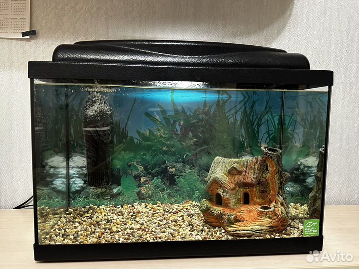 Аквариум