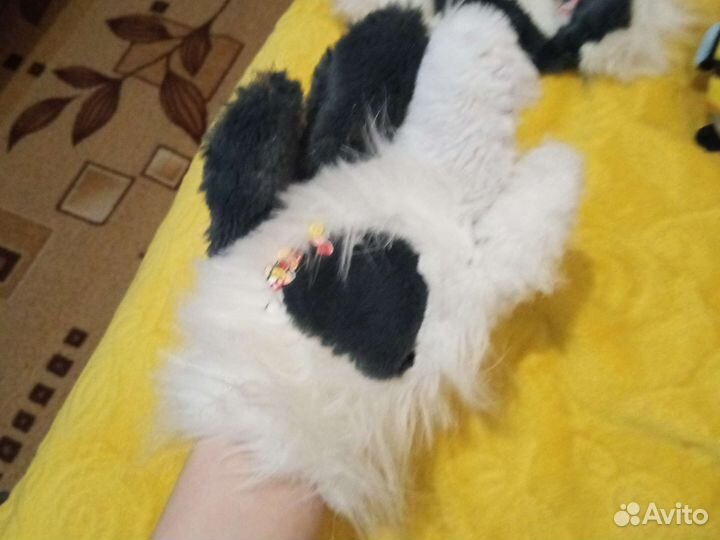 Фурсьют фурчатки