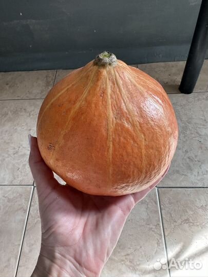 Тыквы домашие маленькие