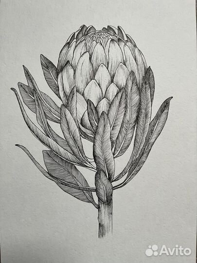 Картина графика