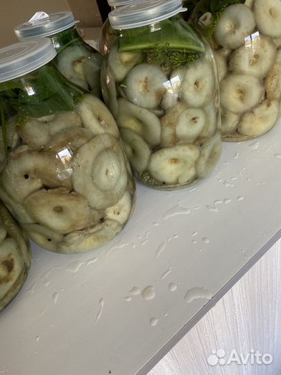 Грибы, грузди сырые горячего соления