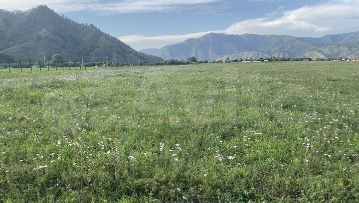 Участок 2 га (СНТ, ДНП)