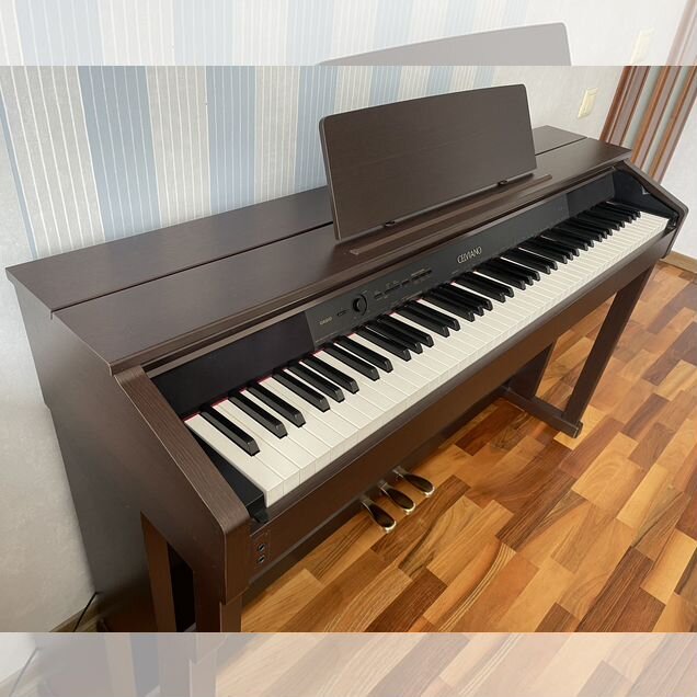 Электронное пианино Casio Celviano AP-460