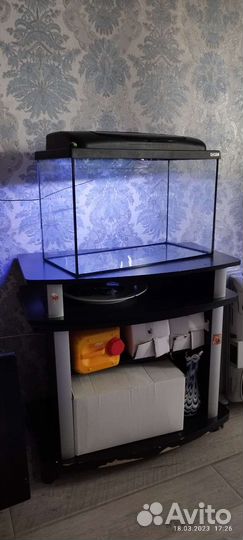 Аквариум