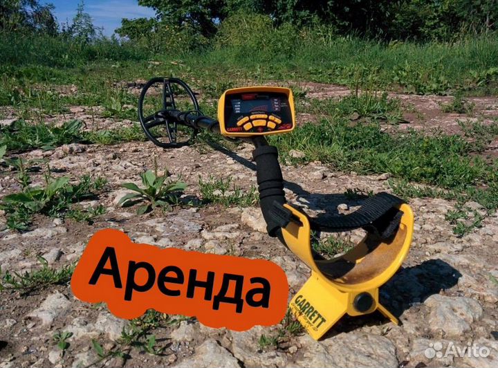 Металлоискатель garrett ace 250