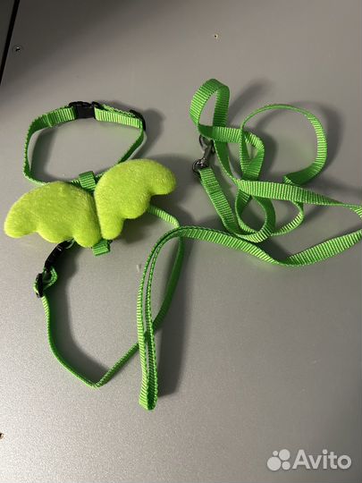 Поводок для выгула кошек