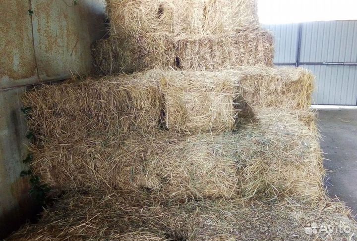 Сено, солома в тюках и мешках