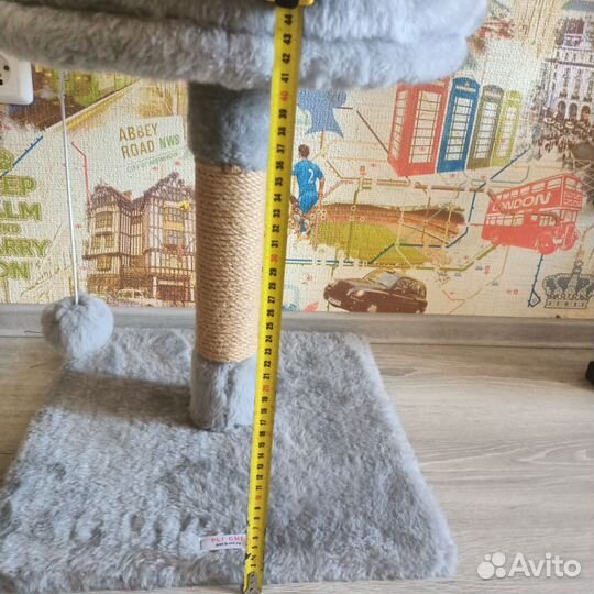 Когтеточка