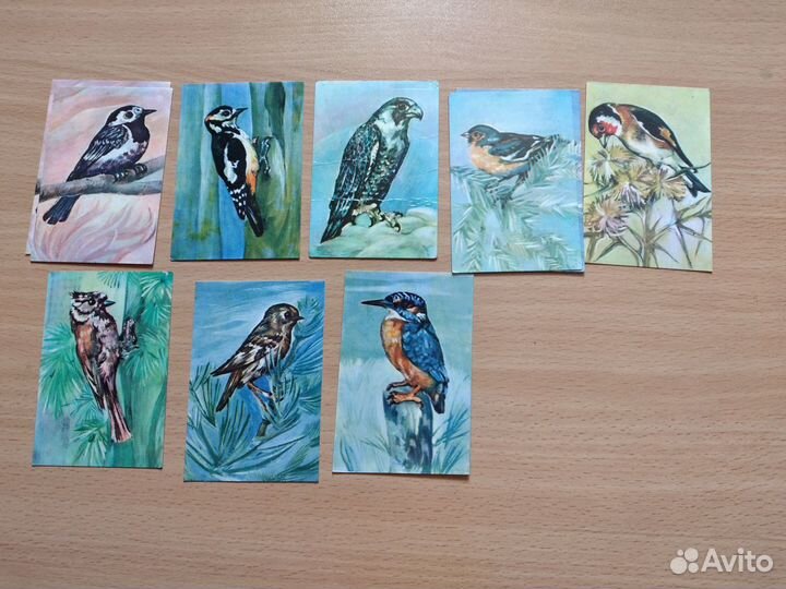 Лот 12.Календарики на разные темы