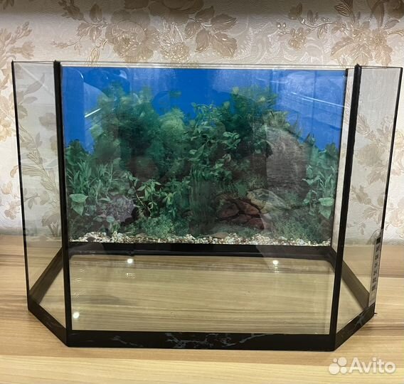 Аквариум