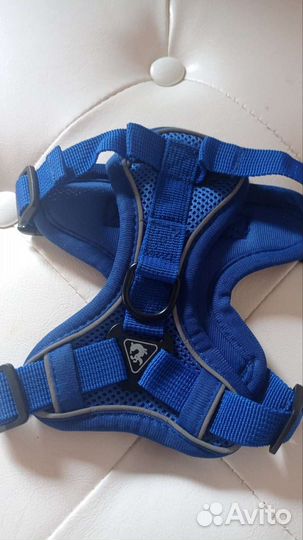 Поводок для маленьких собак