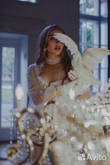 Аренда королевского голубя на фотосессию