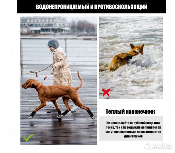 Ботинки для собак