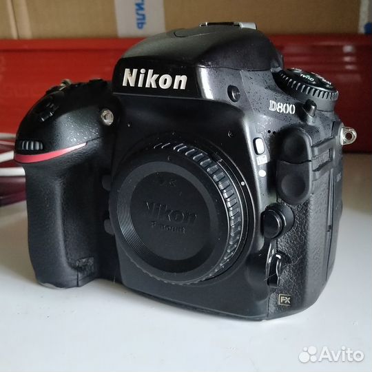 Nikon D800 body