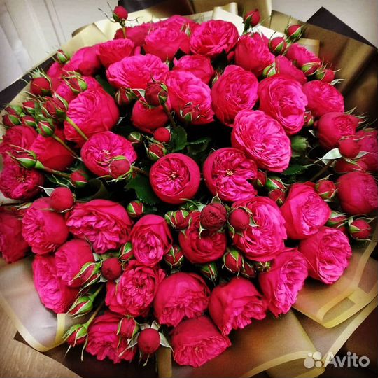 Пионовидные розы Кустовые розы