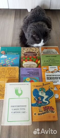 Книги для воспитателя детского сада