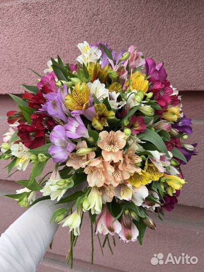 Букет из альстромерий