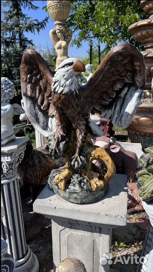 Орел на ветке