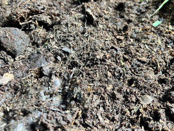 Навоз чернозем перегной с доставкой