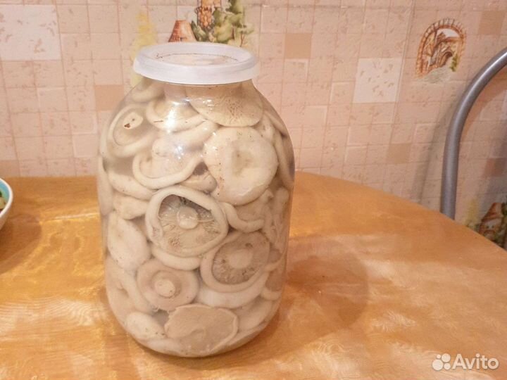 Грузди белые