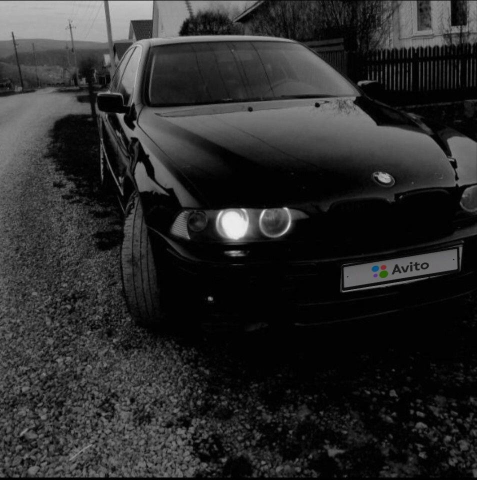 BMW 5 серия: фото владельца